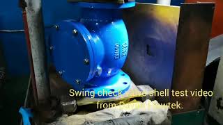 swing check valve shell test video