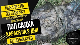 ПОЛ САДКА КАРАСЯ ЗА 2 ДНЯ РЫБАЛКИ. БЕШЕНЫЙ КЛЕВ КАРАСЯ НА ПОПЛАВОЧНУЮ УДОЧКУ. РЫБАЛКА НА САЛТАИМЕ.