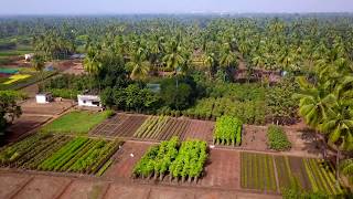 SRISATYADEVANURSERY AERIALVIEW