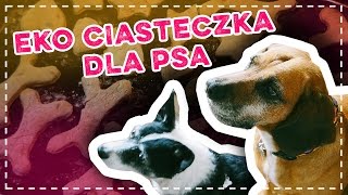 Ciasteczka dla psa: jak zrobić smakołyki dla psa.