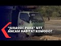 Pembangunan Jurassic Park di Pulau Rinca Tuai Kontroversi, Pemerintah: Dilakukan dengan Hati-hati