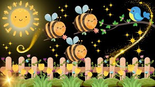 Magical Garden Adventure | High Contrast Baby Sensory Video with Music