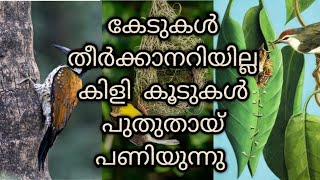 Koodukal|കൂടുകൾ|M M Sacheendran|Nee Syllabus 2024