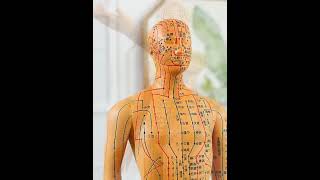 Human acupoint meridian model#model #teaching