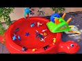 AQUATIC ANIMALS FOR KIDS: NAMES AND VIDEOS - SEAHORSE, CRAB, SEA LION, DOLPHIN, AND OTHERS