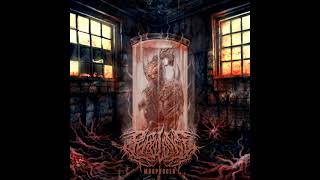 Purulence - Morphogen (Full Album)