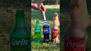 Who is stronger? Mentos vs Cola, Pepsi, Sprite? #soda #experiment