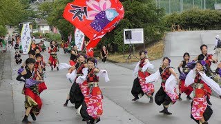 「渡衆 七番隊 扇傘」長浜あざいあっぱれ祭り2018 【ストリート会場】