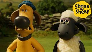 Panic at the Barn 🐑 Shaun the Sheep - Cartoons for Kids 🐑 Full Episodes Compilation [1 hour]