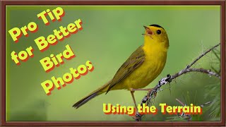 Using the terrain for better bird photos.  Come for a hike on Vancouver Island looking for birds.