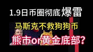 1.9日币圈彻底暴雷！狗狗币爆跌马斯克也救不了！熊市or黄金底部？