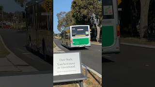 Transperth TP1362 departing