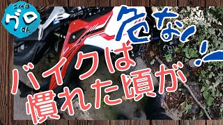 バイクの免許取得から三か月、グロムで初心者ライダーが転倒してしまいました。【原付二種ツーリング】