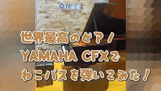 世界最高のピアノ！　YAMAHA CFXでねこバスを弾いてみた！