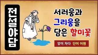 [전설야담 247] 서러움과 그리움을 담은 할미꽃 [옛날이야기] 7월 17일 0717 [만물유래] 양이 차다 [단어 어원]