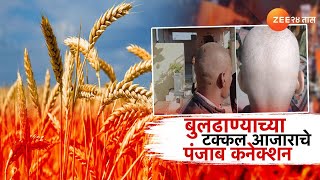 Special Report On Buldhana Hair loss बुलढाण्यातल्या टक्कल आजाराचं कारण सापडलं? आजाराचे पंजाब कनेक्शन