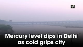 Mercury level dips in Delhi as cold grips city