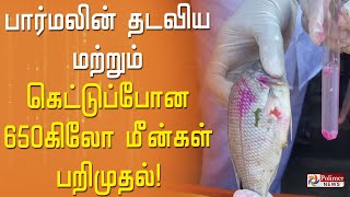 பார்மலின் தடவிய மற்றும் கெட்டுப்போன 650 கிலோ மீன்கள் பறிமுதல்!