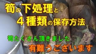 筍の下処理と四種類の保存方法