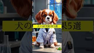 犬の研究結果5選 #犬の雑学 #犬のいる暮らし #犬の豆知識 #犬の行動学 #犬の研究結果 VOICEVOX:春歌ナナ