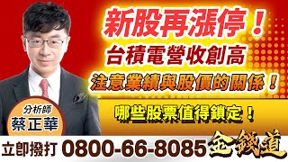 【新股再漲停！台積電營收創高，注意業績與股價的關係！哪些股票值得鎖定！】 金錢道 蔡正華分析師 2024.11.08