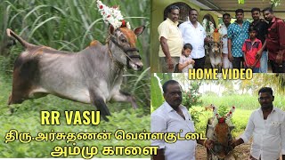 Vellakuttai Ammu Kaalai Home tour _ KS VENKAT VLOGS