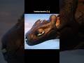 Toothless be like - Can your Human do this 🔥☠️ | #edit #shorts |
