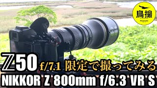 【野鳥撮影】863のf/7.1 限定で野鳥撮影 - Nikon Z50 × NIKKOR Z 800mm f/6.3 VR S -