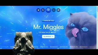 Mr. Miggles: The Psychology Behind Meme Coins' Appeal and Longevity