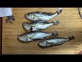 気軽に釣れる高級魚 シログチ（イシモチ）を日韓風で食べ比べてみた