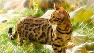 Rodilius Filter (G'MIC plugin) - GIMP 2.8 Tutorial