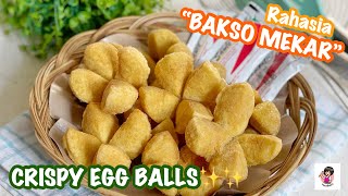 BAKSO MEKAR TANGGAL TUA✨5 Bahan! Takaran Sendok •  Tips & Trick Bakso Mekar🔥🔥