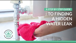 A Step-by-Step Guide to Finding a Hidden Water Leak