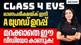 Class 4 EVS | ഓണപരീക്ഷയ്ക് ഇനി A ഗ്രേഡ് ഉറപ്പ്! മറക്കാതെ ഈ വീഡിയോ കാണുക | Xylem Class 4