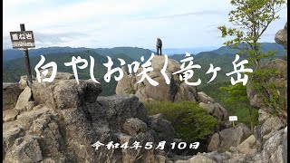 白やしお咲く竜ヶ岳　令和4年5月10日