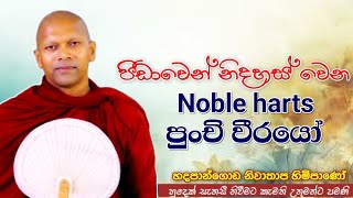 පීඩාවෙන් නිදහස් වෙන Noble harts පුංචි වීරයෝ#ven.Niwathapa thero#jethavanarama viharaya#pahura #bana