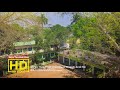 Sherpur Thana Model School Bogura | Drone Media Bangladesh