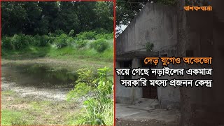 দেড় যুগেও অকেজো রয়ে গেছে নড়াইলের একমাত্র সরকারি মৎস্য প্রজনন কেন্দ্র Fish Breeding Centre | Narail |