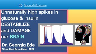 GEORGIA EDE 3: Unnaturally high spikes inglucose & insulin DESTABILIZE and DAMAGE our BRAIN
