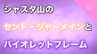 シャスタ山のセント・ジャーメインとバイオレットフレーム【魂の學校】