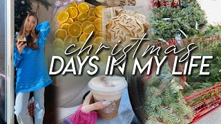 DAYS IN MY LIFE | Trader Joe’s haul, baking Christmas sourdough, life chats, & cozy Christmas times!