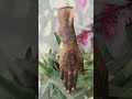 new mehndi design video short mehandi video