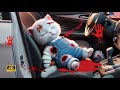 Kitten in Car Accident 🚘 Parents Arguing 😿 #cat #ai #catlover #catvideos #cutecat #aicat