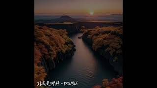 到底是哪种 - DOUBLE