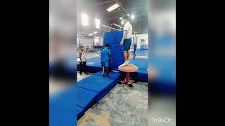 Parallel Bars Moy