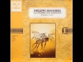 Philippe Besombes Flipper 1982