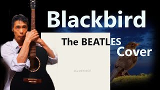 Blackbird/ ブラックバード - ザ ビートルズ 【The Beatles Cover】