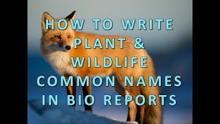 How to Write Plant \u0026 Wildlife Common Names in Bio Reports