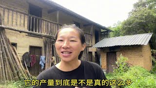 村口种下一棵“蛇树”，全村人不同意，本以为活不了，奇迹发生了