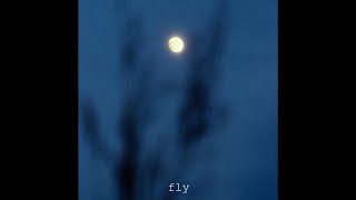 (free) lofi type beat - fly